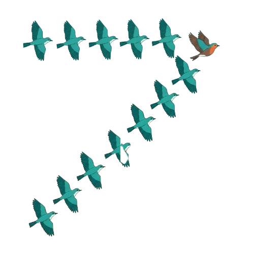 FlightPlan